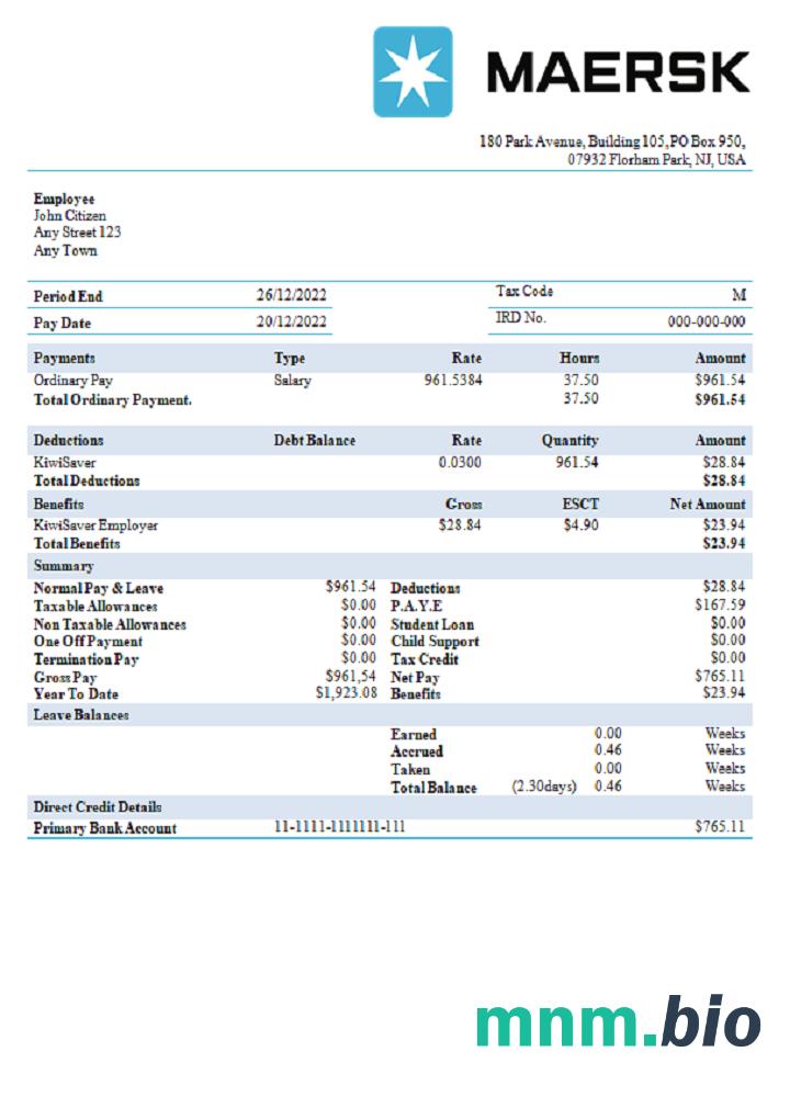 USA maesk shipping company pay stub